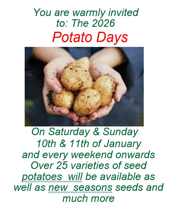 Image of Potato Day 2026